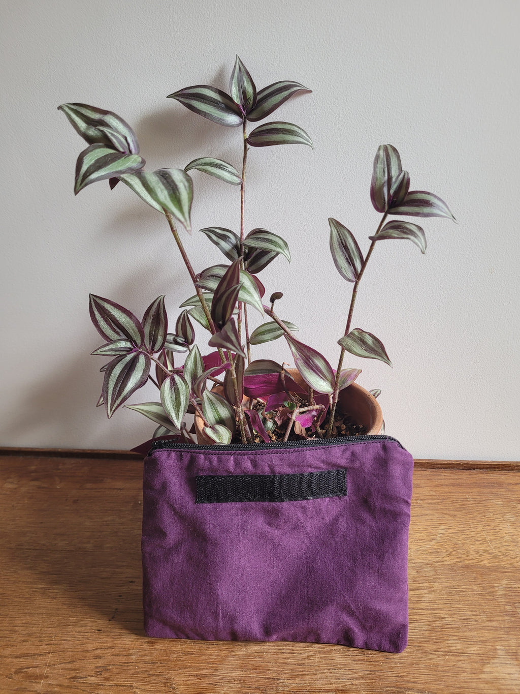 Tote Bag Samsa