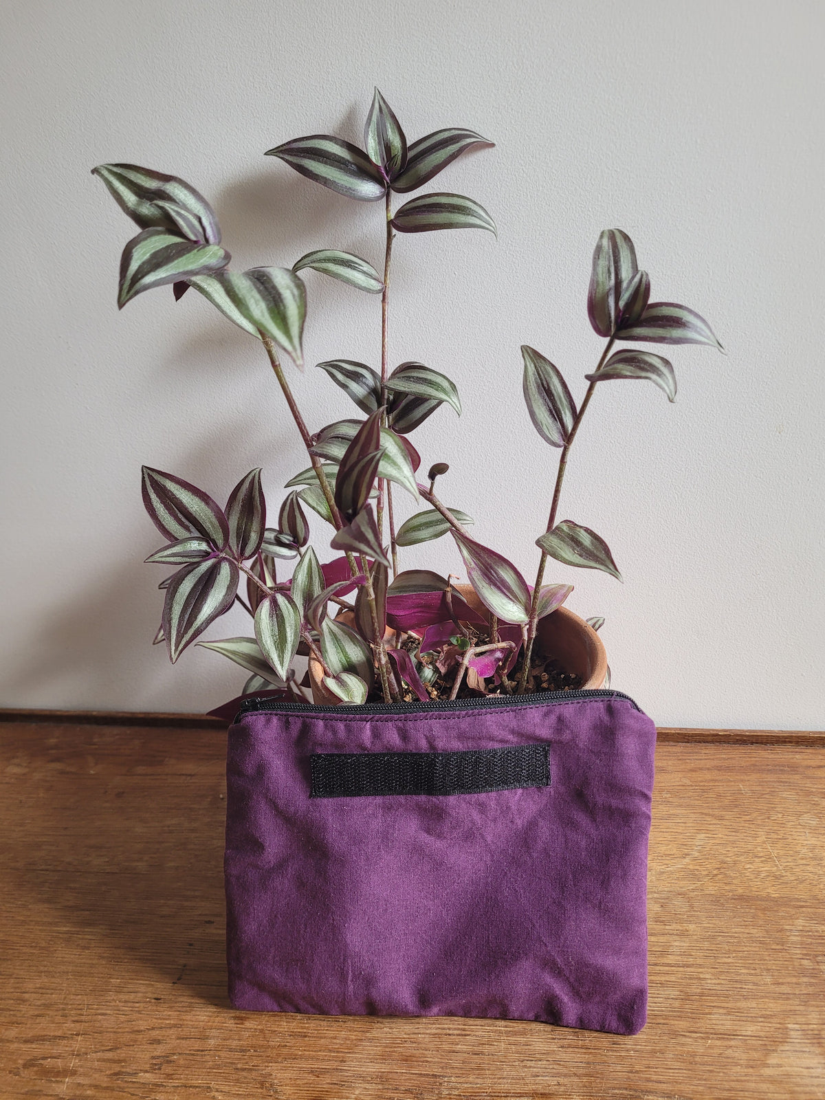 Tote Bag Samsa